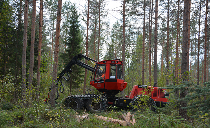 A red forest machine is harvesting trees in an autumn forest.