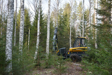 Hakkuukone peitteisen metsänkäsittelyn kohteella