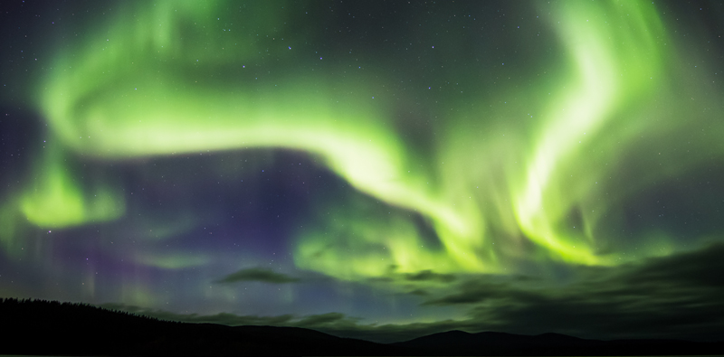 Green and white Northern lights in blue sky, 
forest silhouette on the bottom. 