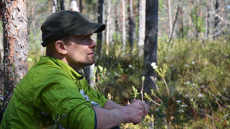 En av Forststyrelsens medarbetare sitter i vårskogen. I bakgrunden visas en solig tallmyr med skvattram i blom.