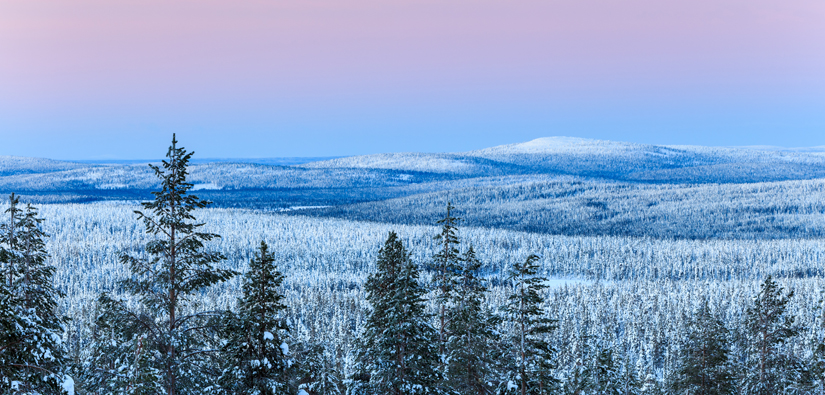 Vinterblått ögonblick i fjällen från Ylläs