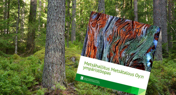 Ympäristöoppaan kansi, taustalla metsää