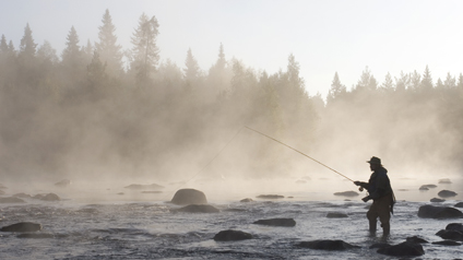 Perhokalastaja sumuisella joella