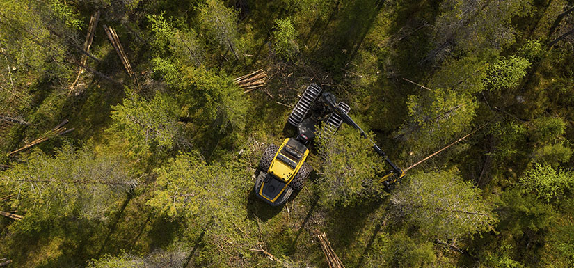 Ilmakuva metsästä, jossa metsätyökone on tekemässä hakkuuta. Kaadettuja puita on pienissä pinoissa ja puita on jätetty paljon pystyyn.