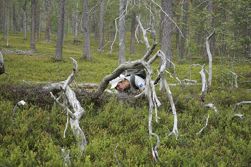 Nainen on kontallaan varvikossa ja tutkii keloutunutta maapuuta.