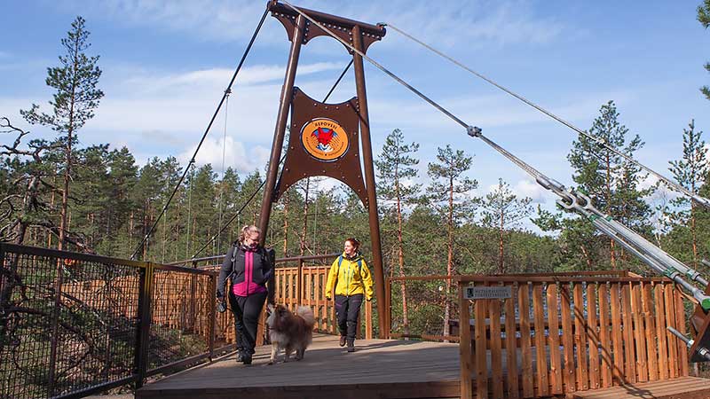 Kaksi retkeilijää ja koira astelevat Lapinsalmen sillalla aurinkoisena kevätpäivänä.