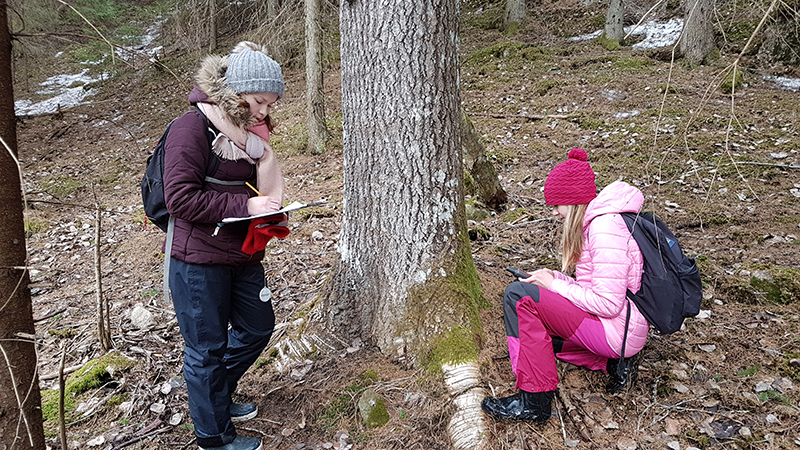 Två människor vid trädstammen i skogen fotograferar och skriver.