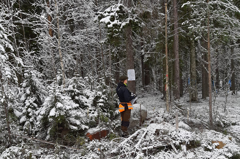 Suunnittelija Ossi Perälä merkkaamassa käsittelykohteita ja asettelemassa infotauluja Palovaaran lumisessa mesässä. Kuva Jussi Moilanen