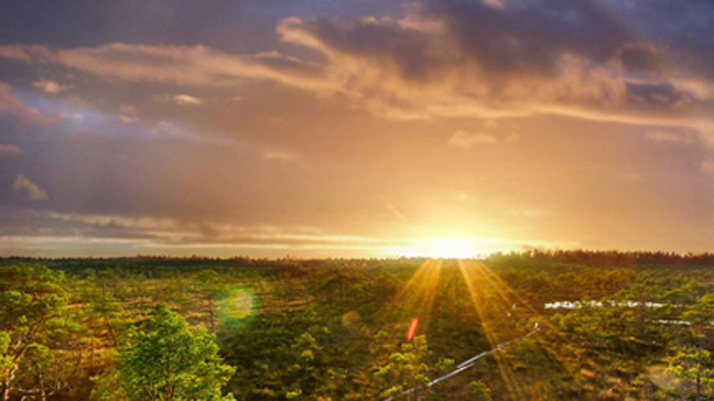 Sun in the Aegviidu-Korvemaa hiking area in Estonia.