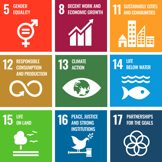 A graphic representing nine different sustainable development goals: 5 Gender equality, 8 Decent work and economic growth, 11 Sustainable cities and communities, 12 Responsible consumption and production, 13 Climate action, 14 Life below water, 15 Life on land, 16 Peace, justice and strong institutions, and 17 Partnerships for the goals.