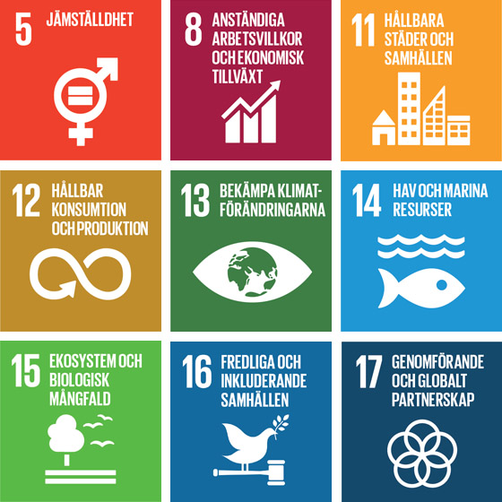 Grafiken visar nio FN:s mål för hållbar utveckling: 5 jämställdhet, 8 anständiga arbetsvillkor och ekonomisk tillväxt, 11 hållbara städer och samhällen, 12 hållbar konsumtion och produktion, 13 bekämpa klimatförändringarna, 14 hav och marina resurser, 15 ekosystem och biologisk mångfald, 16 fredliga och inkluderande samhällen, samt 17 genomförande och globalt partnerskap.