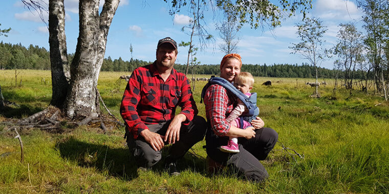 Mies, naienn ja pikkulapsi, takana avointa laidunta ja lampaita sekä metsänreuna,