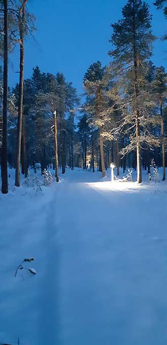 Talvinen metsä, jossa keskellä kulkee valaistu polku.