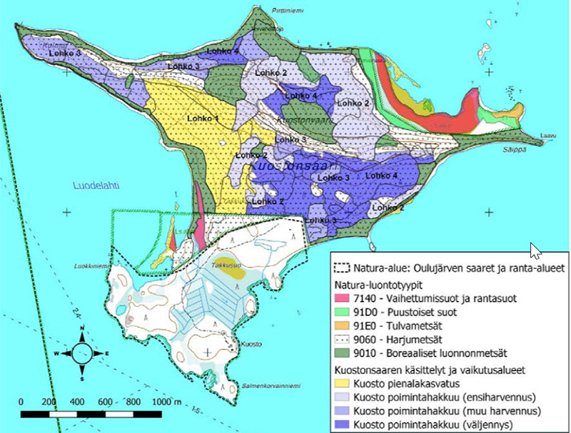 Kuostonsaaren käsittelysuunnitelma ja Natura-luontotyypit. Saaren eteläpää ei kuulu Naturaalueeseen ja on yksityisomistuksessa.