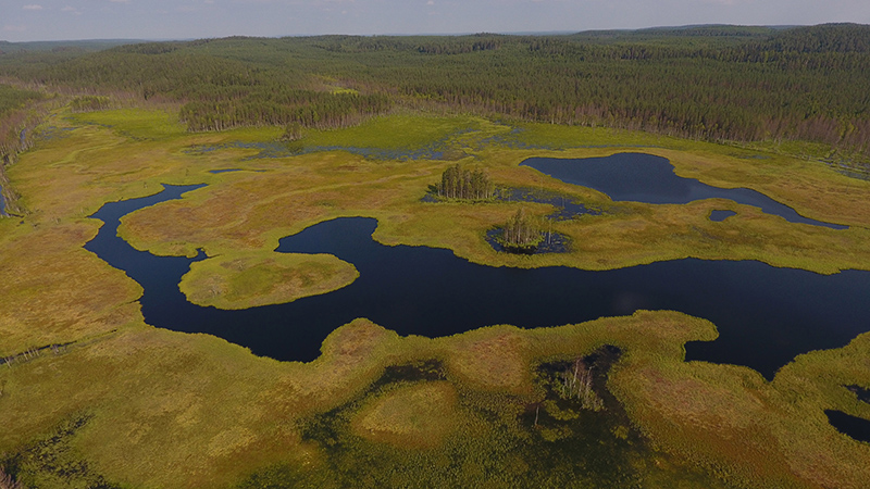 Öppet myrlandskap och en slingrande å.