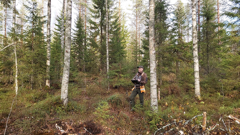 Suunnittelija Joonas Sorsa jatkuvan kasvatuksen havaintoalueella Rautavaarassa.