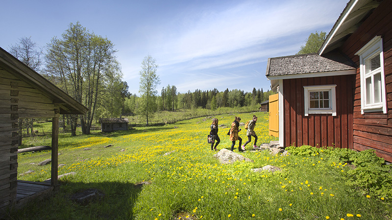 Vanhoja hirsirakennuksia avoimen pihan ympärillä. Niittymäisellä pihalla ihmisiä menossa sisälle torpparakennukseen.