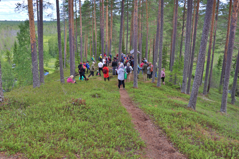 Retkeläisiä Vienan reitllä harjun päällä