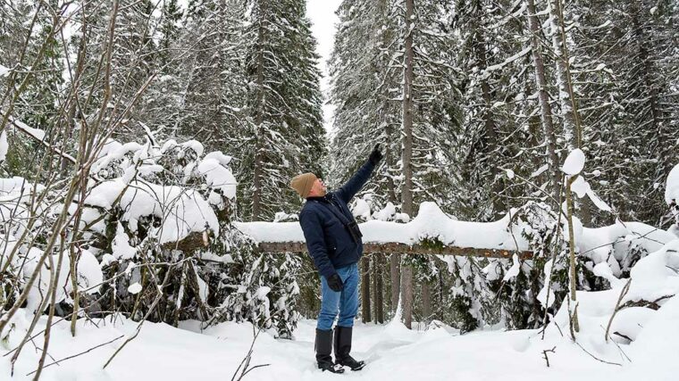 Mies seisoo talvisessa metsässä ja osoittaa kädellä puiden latvaan.