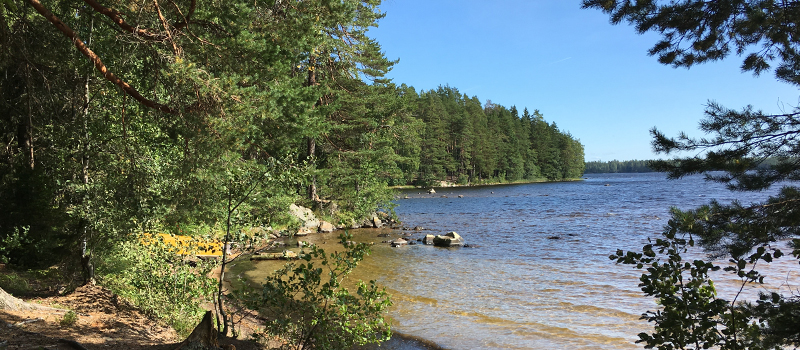 Kirkasvetisen Lohjan Vahermajärven ranta.