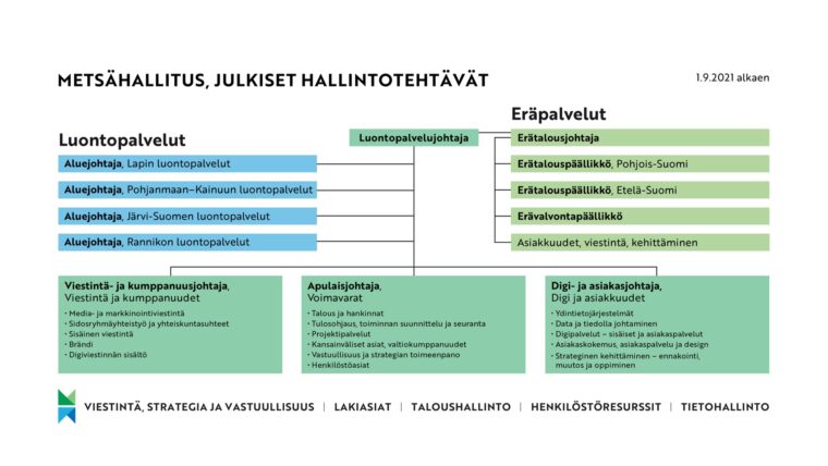 Kaaviokuva Metsähallituksen julkisten hallintotehtävien uudesta organisaatiorakenteesta