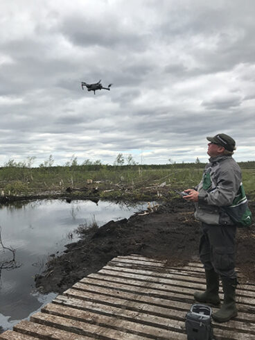 Mies seisoo lankkusillan päällä suolla ja ohjaa lentävää dronea.