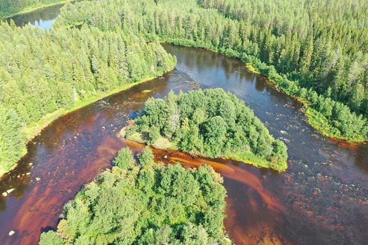 Mutkitteleva joki, jossa on useita haarjoja ja saari.