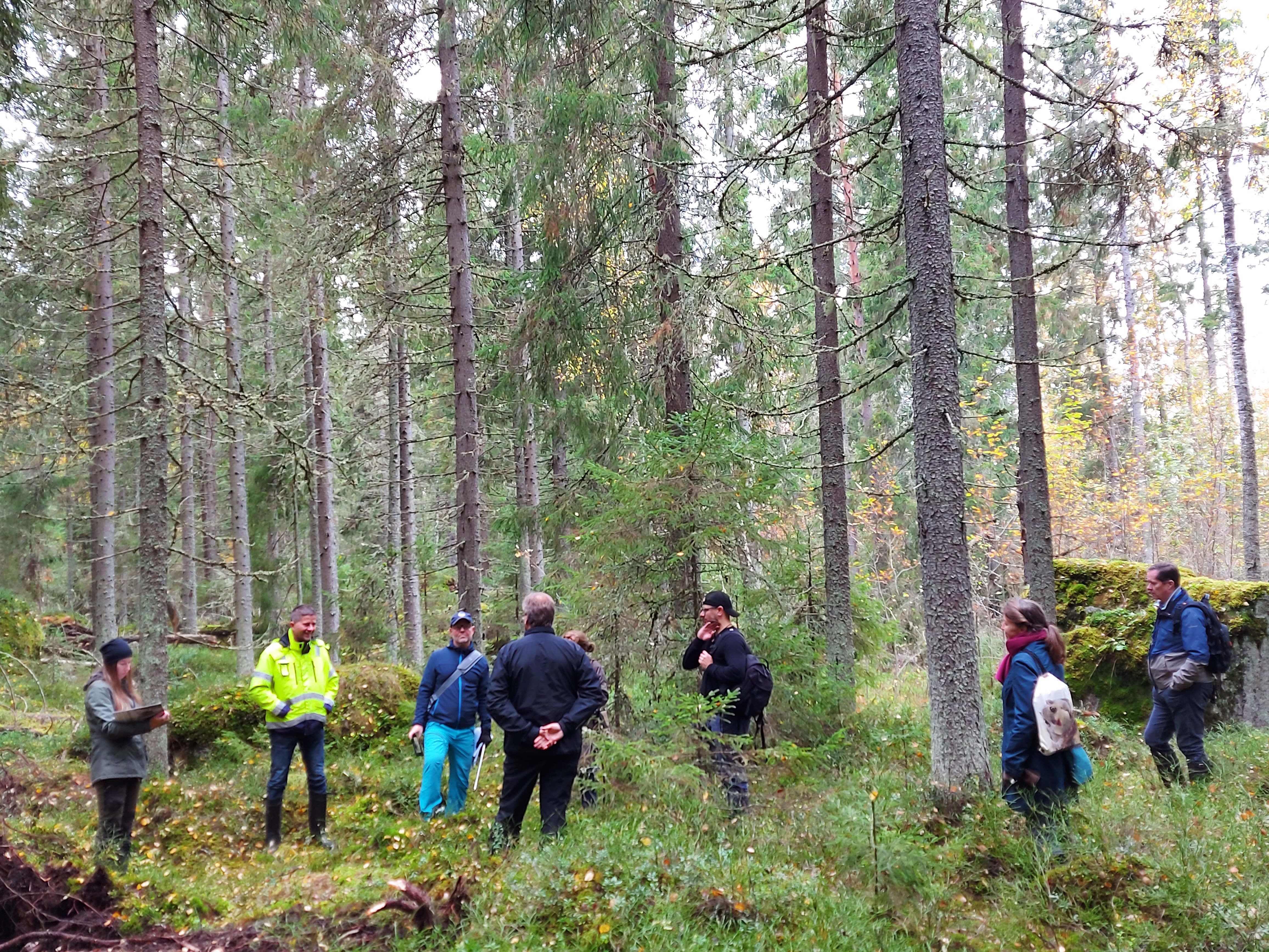 People standing and discussing in a forest.