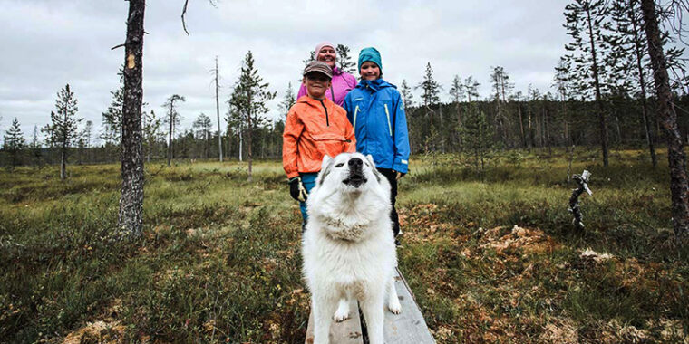 Pitkospuilla suolla seisomassa koira ja sen takana kaksi lasta ja aikuinen.