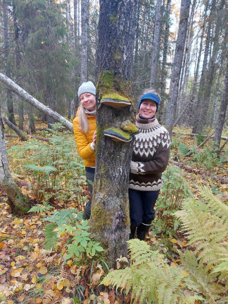 Kaksi naista kurkistaa haapapuun takaa, puun rungolla näkyy kääpiä.