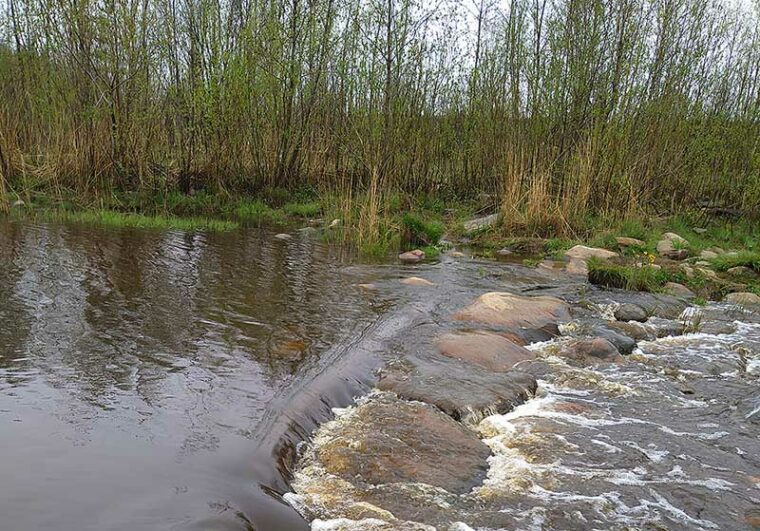 Hitaasti virtaava joki.