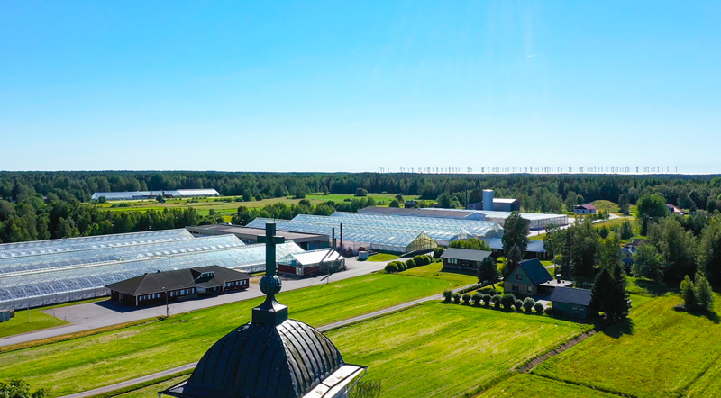 In the foreground the church and greenhouses, further afield the sea and wind farms.