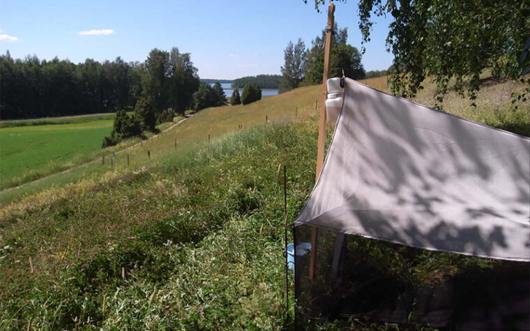 Ohut kangas viritetty katokseksi niittyrinteelle keppien varaan, taustalla järvi ja metsänreuna aurinkoisena kesäpäivänä.