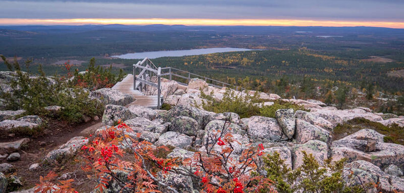 Kuvan etualalla on pihlaja. Taaempana on kivikkoa ja tunturin päälle tulevat portaat. Horisontissa metsää, järvi ja tunturijono.