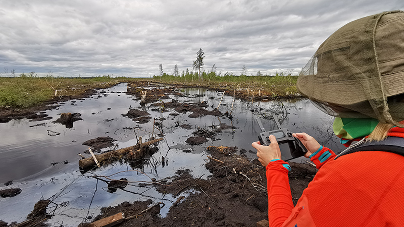 A broad ditch and water on both sides of it on a mire. A person holding a steering gear of a drone.