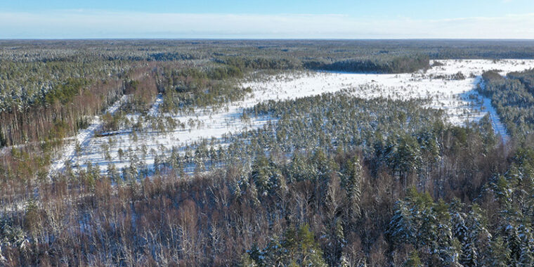 Lumen peittämä avoin suoalue metsän keskellä, kuvattu ilmasta.