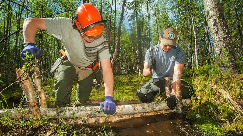 Kaksi ihmistä asettelee kapeita koivunrungon pätkiä poikittain puroon kesäisessä metsässä, rangat tuettu koivusta tehtyjen pystytukien väliin paikoilleen.