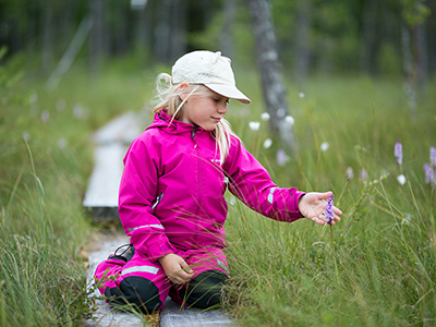 A child has kneeled on a plank path to look at a flower growing in a mire.