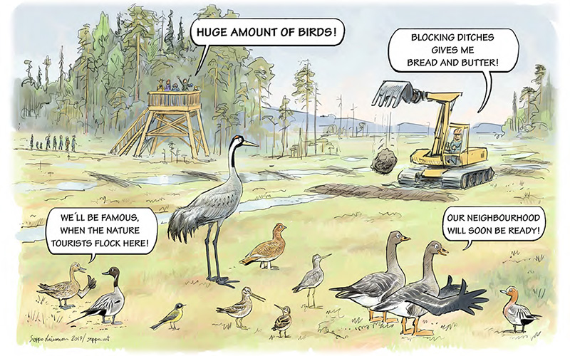 A drawing: different types of wild birds on a peatland, looking at an excavator filling in ditches. People on a bird-watching tower.