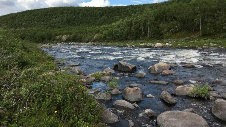 Koivikkoisten rinteiden v&auml;liss&auml; virtaa matala joki.