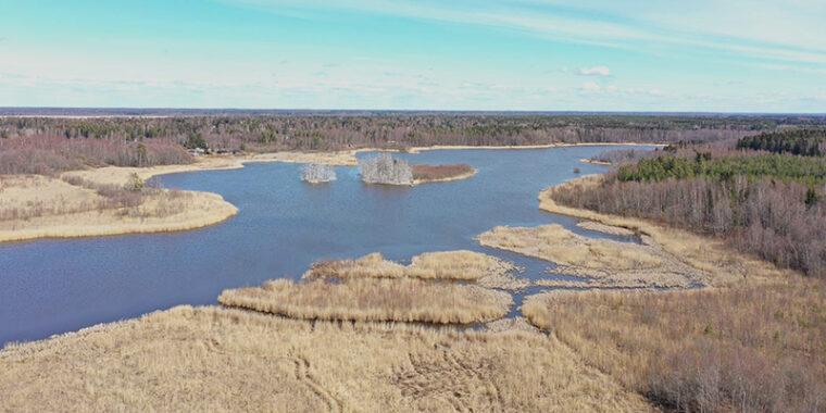 Ilmasta kuvattu järvi ja kuivaa rantaruovikkoa, rannalla ja keskellä järveä pieniä saarekkeita.