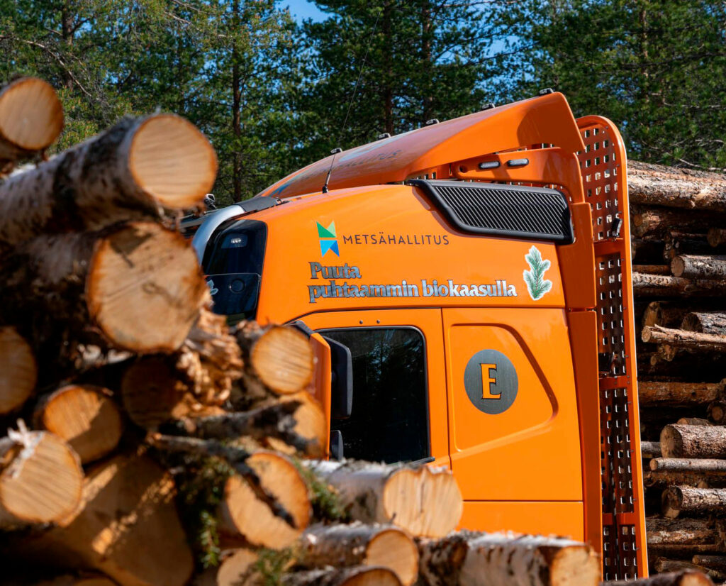 Timber truck and pile of timber.