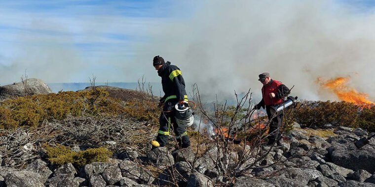 Två människor bränner buskar med gasbrännare på en stenig strand. Det finns eld på marken och rök i luften.