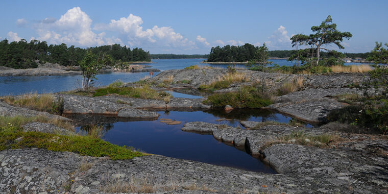 Låga strandklippor med vatenpölar, i bakgrunden havsstränder och öar i en solig sommardag.