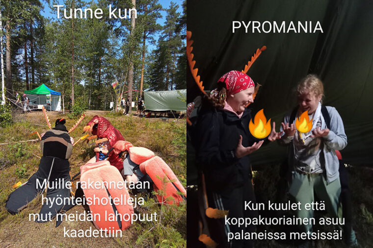 Kaksi kovakuoriaisaiheista meemiä. Toisessa on maassa kyyryssä neljä kovakuoriaisiksi pukeutunutta henkilöä ja meemissä lukee "Tunne, kun muille rakennetaan hyönteishotelleja, mut meidän lahopuut kaadettiin." Toisessa meemissä on kaksi nuorta, jotka ovat kannattelevinaan kuvaan lisättyjä liekkikuvioita. Meemissä lukee "Pyromania: kun kuulet, että koppakuoriainen asuu palaneissa metsissä!"