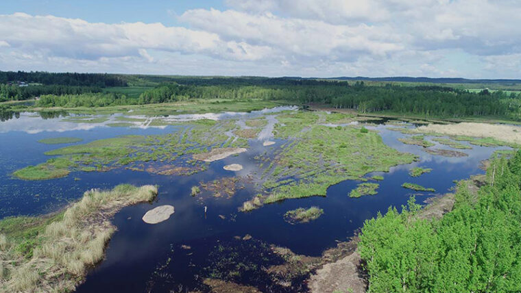 Ylhäältä kuvattu maisema, järvessä matalia saarekkeita.