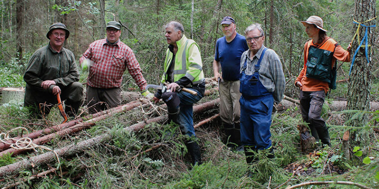 Kuusi ihmistä seisoo metsässä, heidän välissään kaadettuja puunrunkoja, jotka on sidottu naruilla yhteen nipuksi.