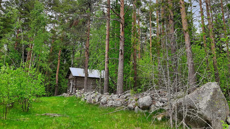 Pieni, vanha hirsirakennus ja matala kiviaita metsän reunassa, edessä avointa nurmea.