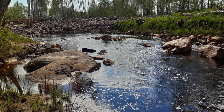 A small river with bright water and big stones in the river and on the riverbank.