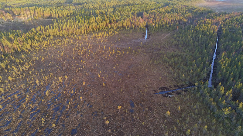 Ilmasta kuvattua suomaisemaa, suon reunoilla metsässä ojia, jotka käännetty valumaan suolle.